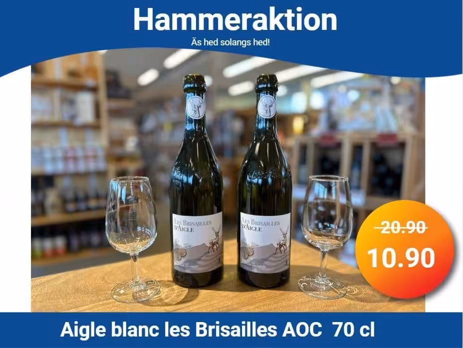 Hammeraktion – Aigle blanc Les Brisailles!
