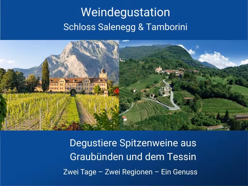 Weindegustation im Bünten-Chäller